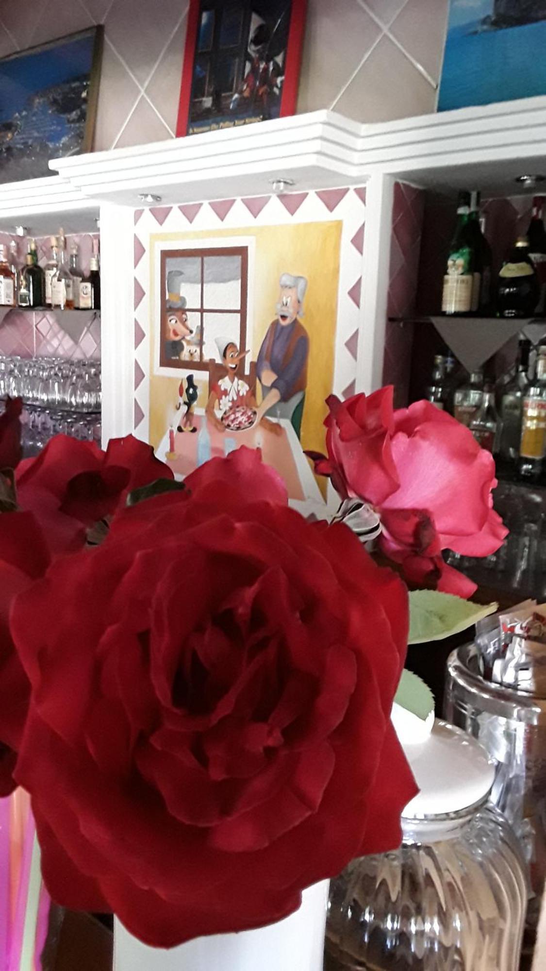 Hotel Pinocchio 아르자케나 외부 사진